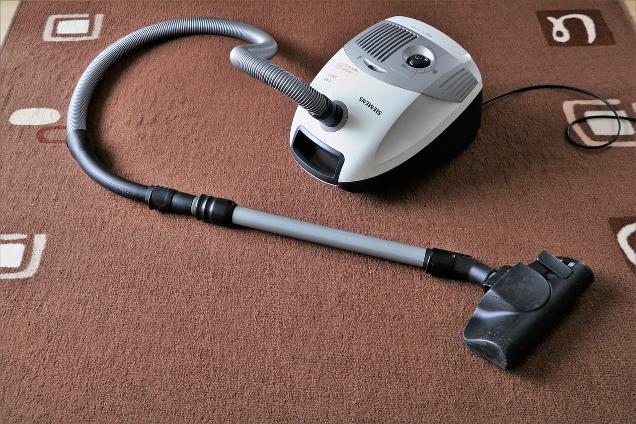 4 Steps To Get Your Dog Used To Vacuuming!